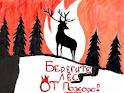 Сбережем леса вместе!
