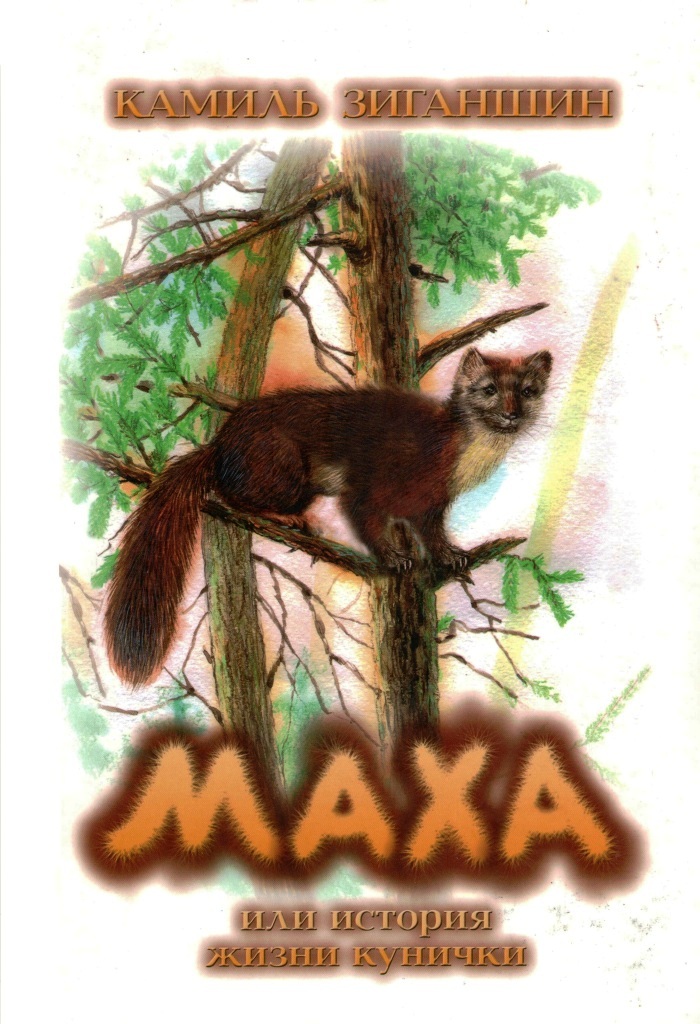 обложка Маха - копия